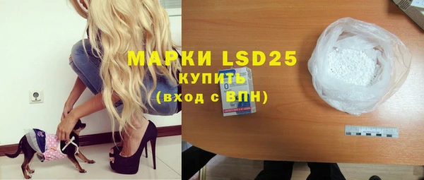 шишки Горнозаводск