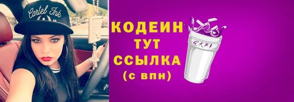 шишки Горнозаводск