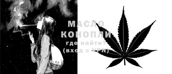 шишки Горнозаводск