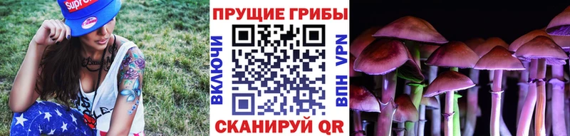 магазин продажи наркотиков Приморск Галлюциногенные грибы мухоморы